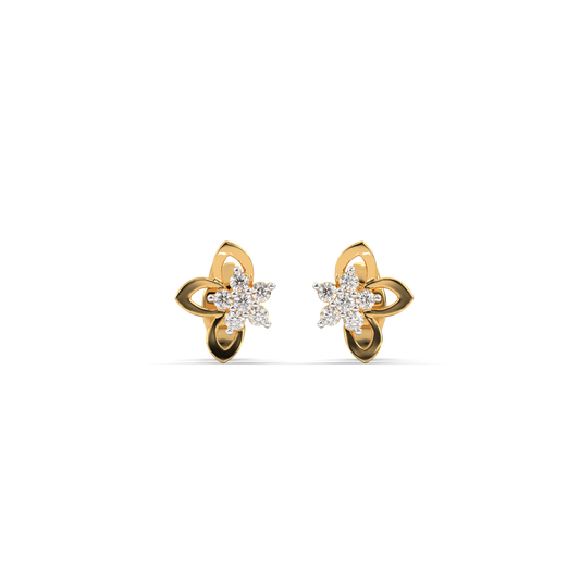 Enchanting Elegance Earrings